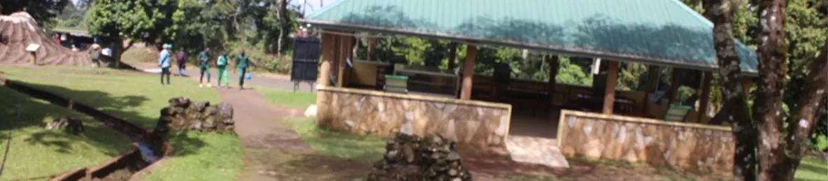 Kilimanjaro Marangu Route 